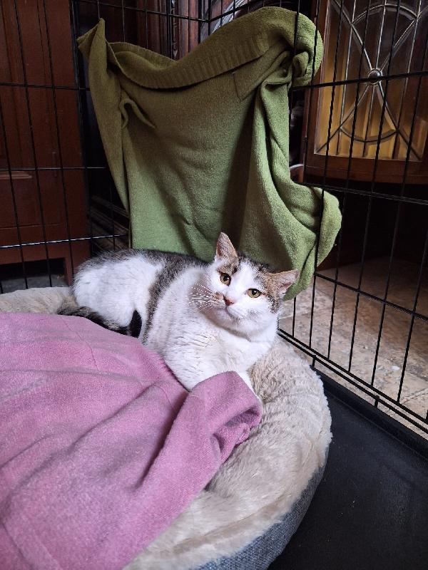 Lovely, una promessa d'amore Foto 2