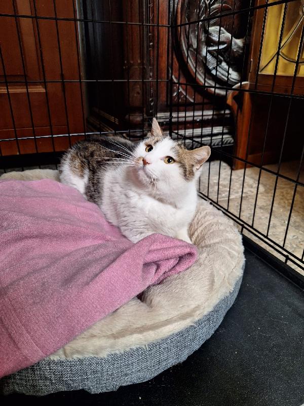 Lovely, una promessa d'amore Foto 4