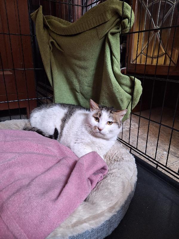 Lovely, una promessa d'amore Foto 6