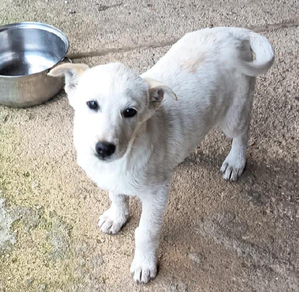 Una Mamma Per Bianca