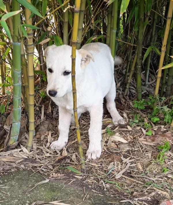 UNA MAMMA PER BIANCA Foto 2