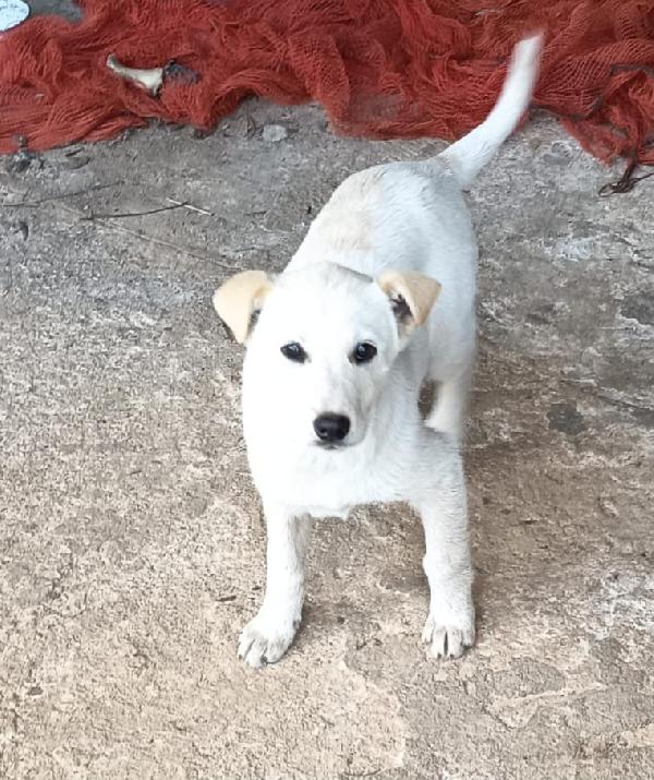 UNA MAMMA PER BIANCA Foto 3