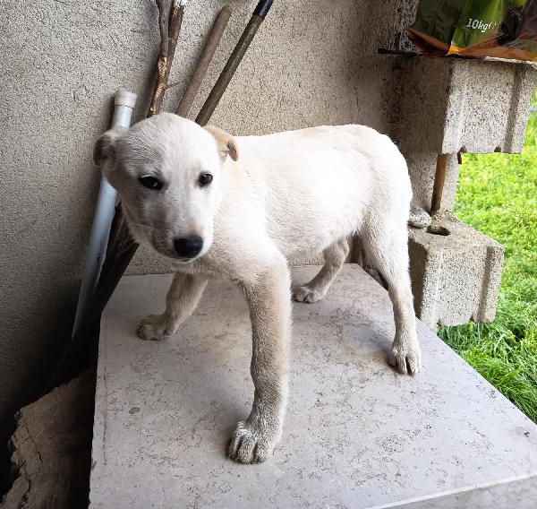 UNA MAMMA PER BIANCA Foto 4
