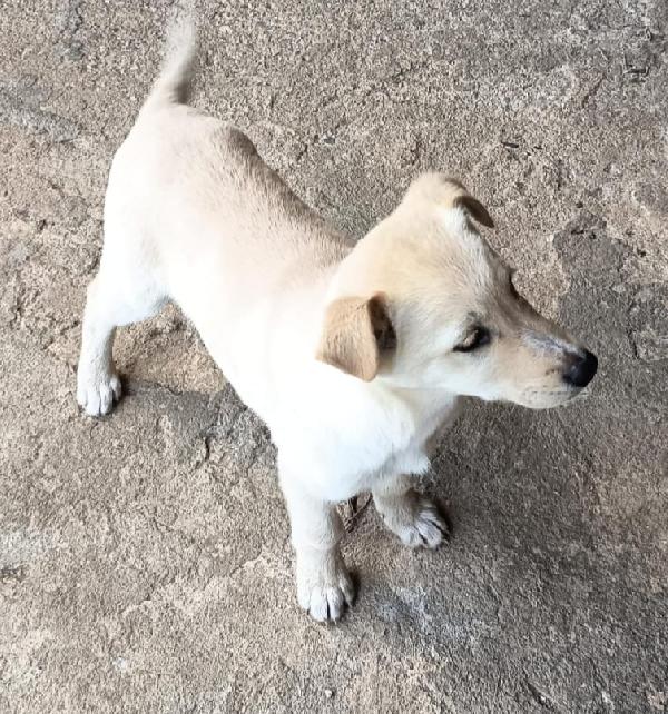 UNA MAMMA PER BIANCA Foto 5