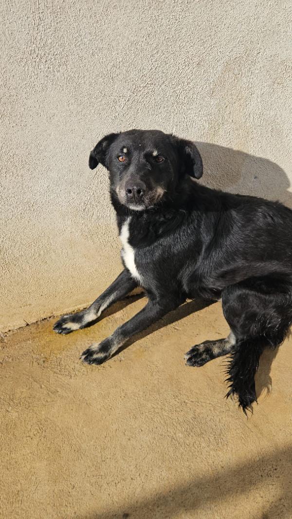 Carlo: anima semplice, dolce e gentile  Foto 10