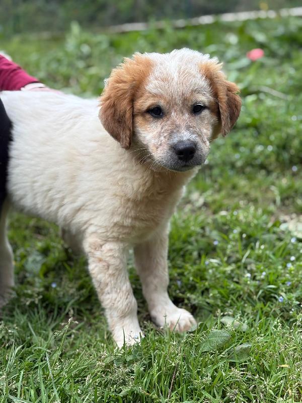 UNA MAMMA PER BIGNÈ  Foto 3