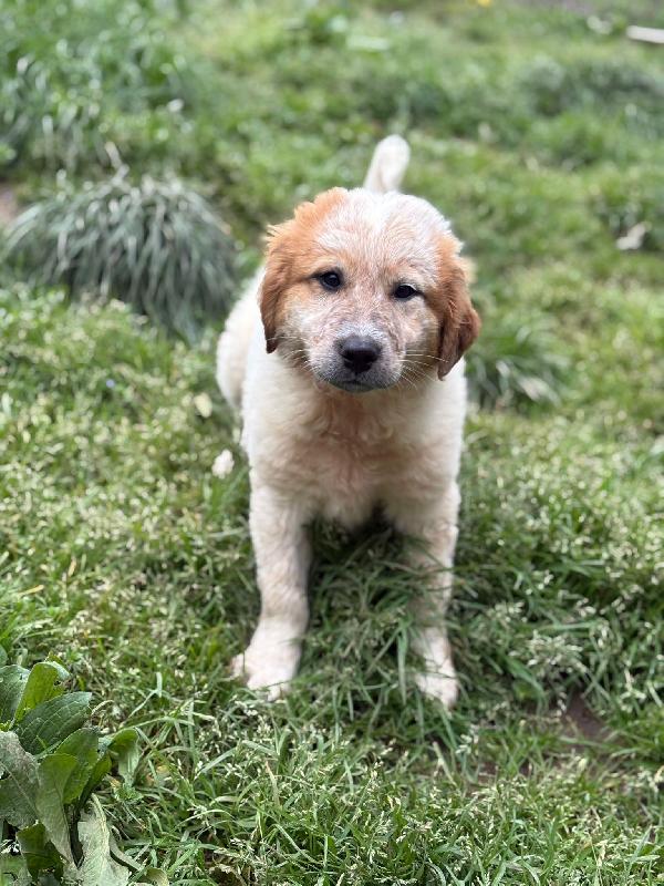 UNA MAMMA PER BIGNÈ  Foto 4