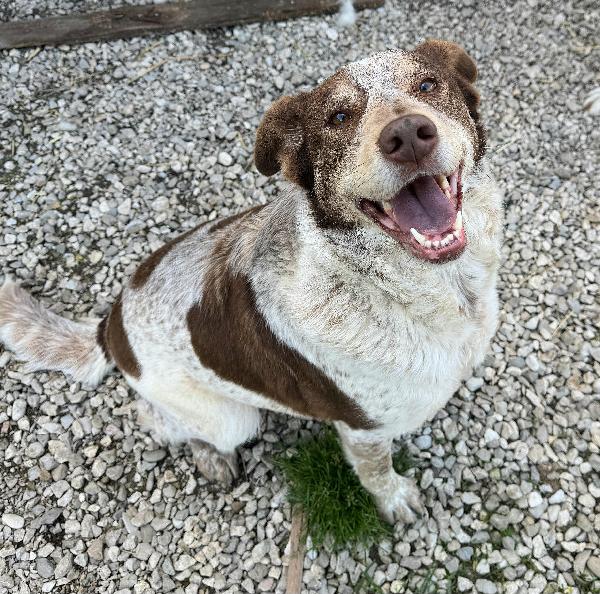 Kikka 4 Anni Taglia Media 