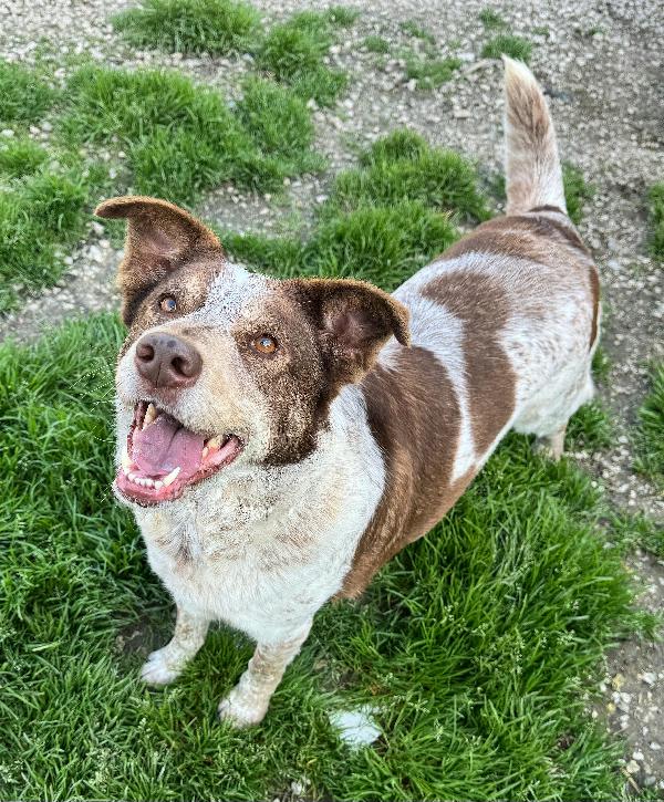 Kikka 4 anni Taglia media  Foto 2