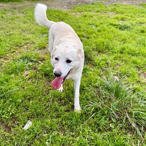 Wilma.. aspetta te Foto 4