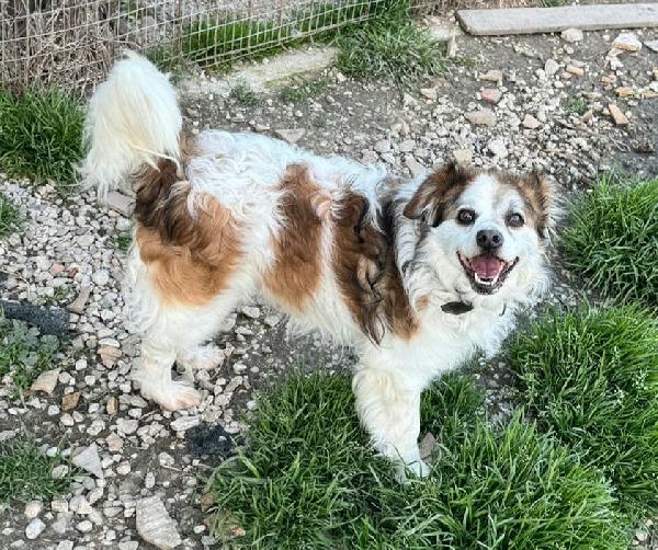 Birillo 4 Anni Taglia Piccola 