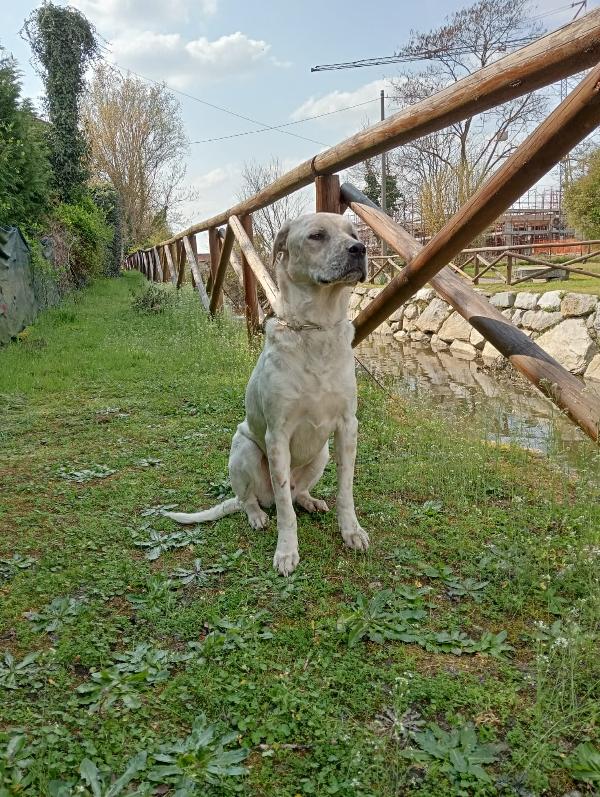 UNA MAMMA PER BIANCHINO Foto 3