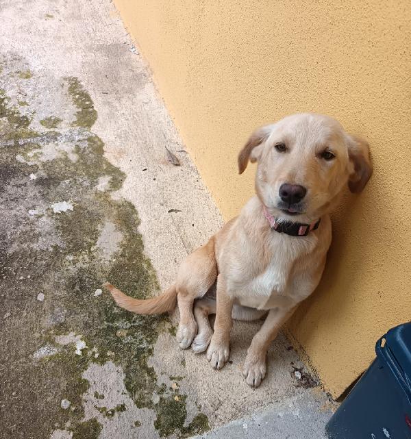 Milly e rose  Foto 2