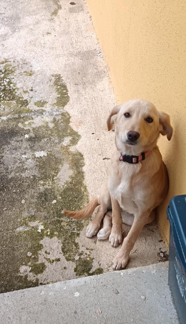 Milly e rose  Foto 3