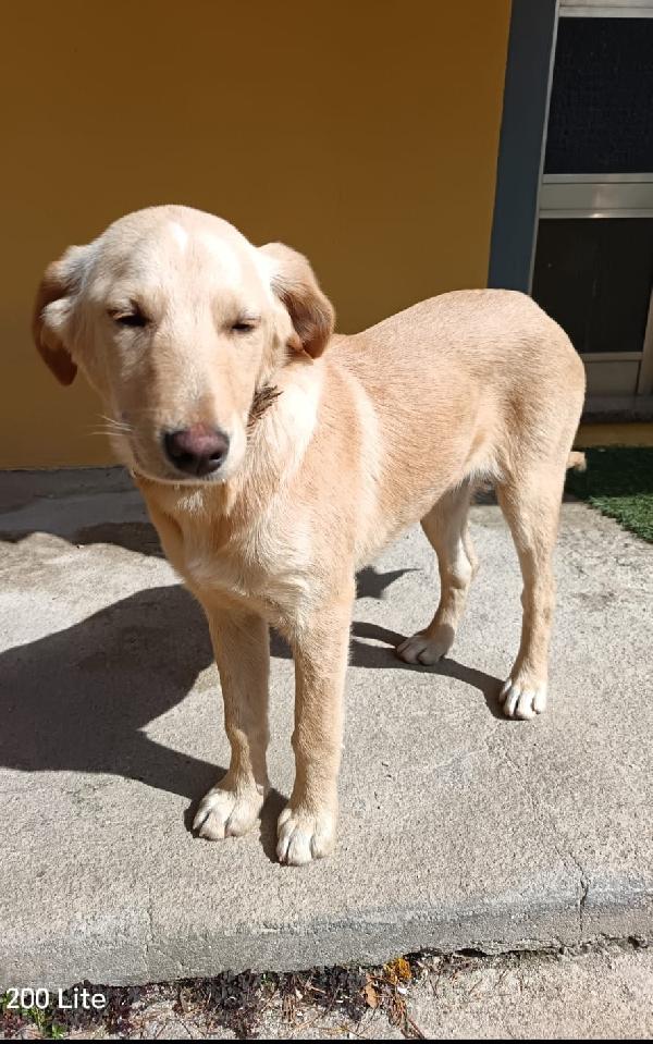 Milly e rose  Foto 4