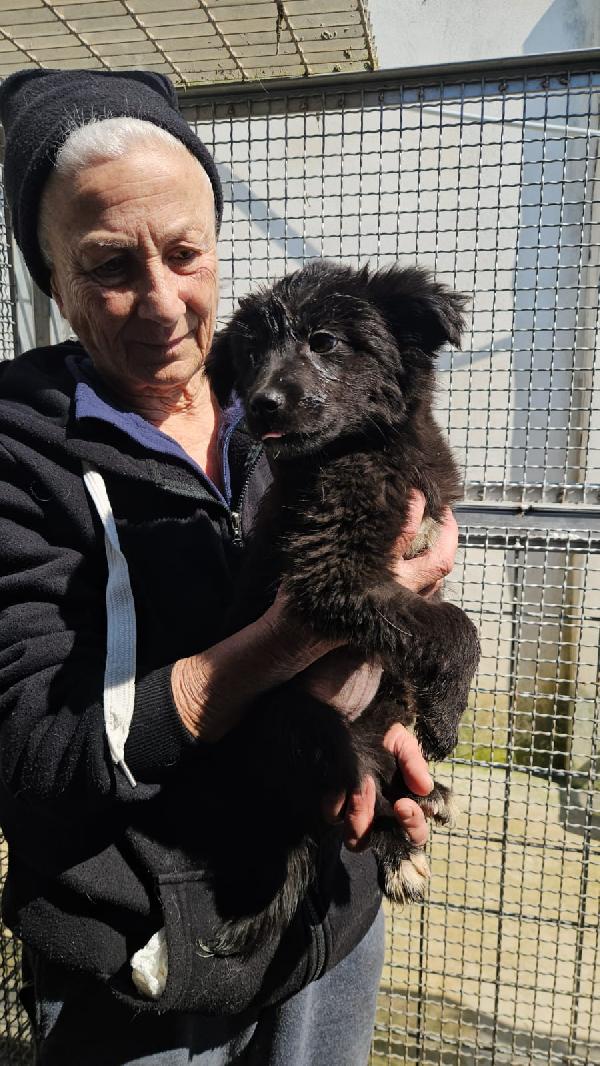 Perla: 3 Mesi Taglia Contenuta 