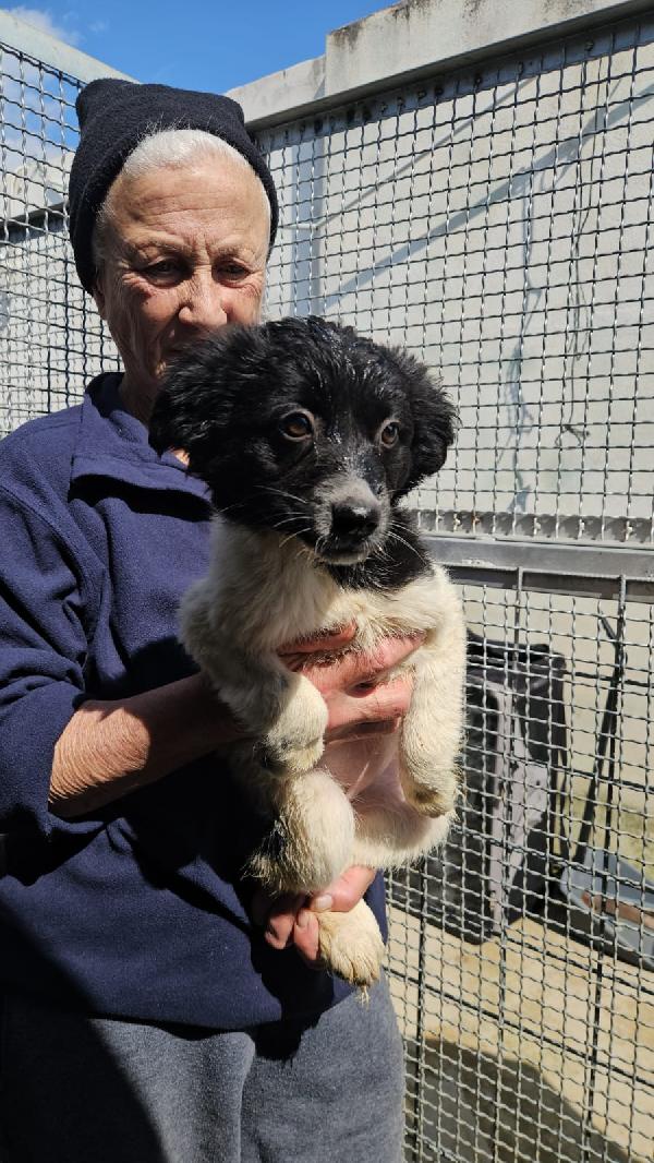 Smeralda: 3 Mesi Taglia Contenuta 