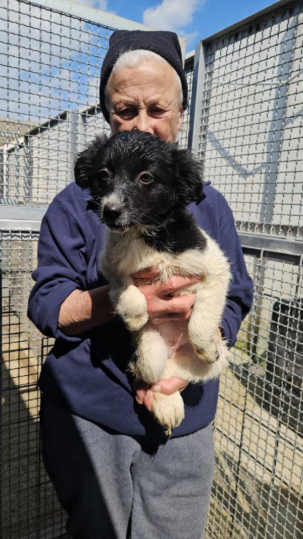 Smeralda: 3 mesi taglia contenuta  Foto 2