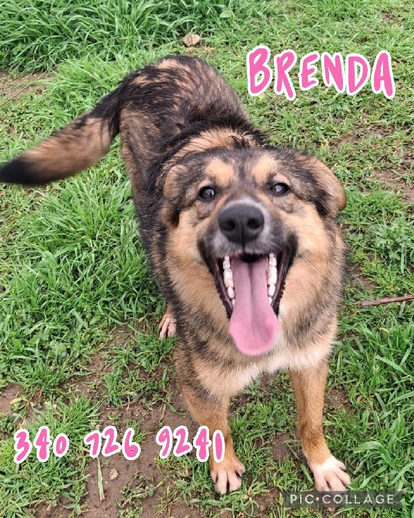 Brenda ✨🍀 Foto 5
