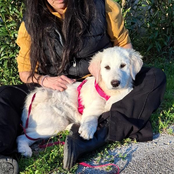 Lava Cerca Famiglia. Info Monica 3890238584 Foto 2