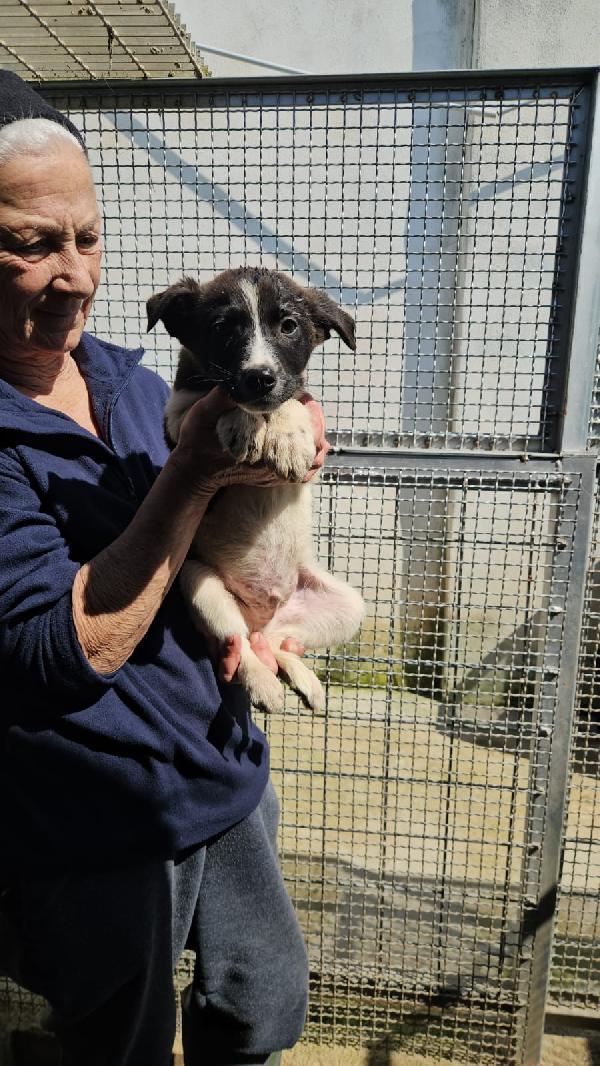 Tormalino: 3 Mesi Taglia Contenuta 