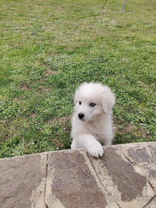 Punch: 3 mesi taglia grande  Foto 7