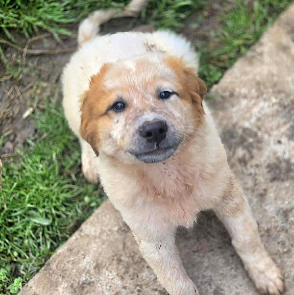 Bignè Aspetta Una Mamma 