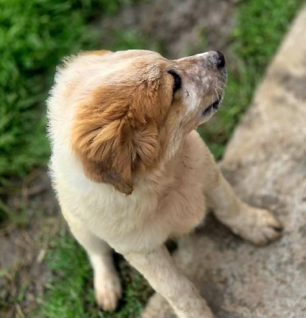 BIGNÈ ASPETTA UNA MAMMA  Foto 2