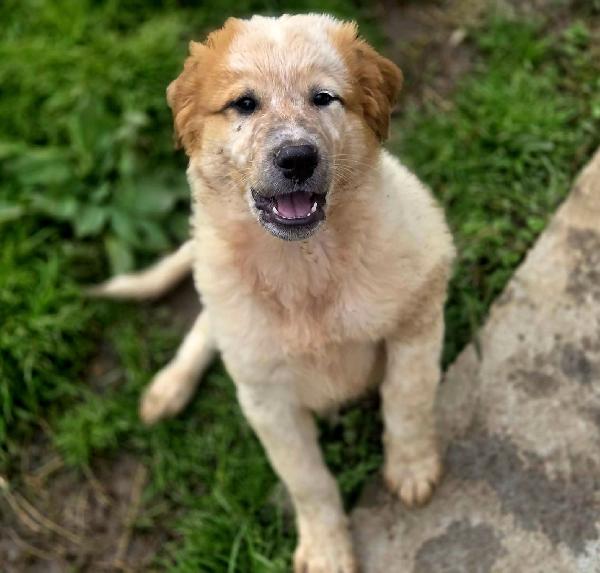 BIGNÈ ASPETTA UNA MAMMA  Foto 3