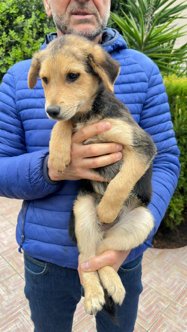 Pluto 🏩💞🐾 Foto 2