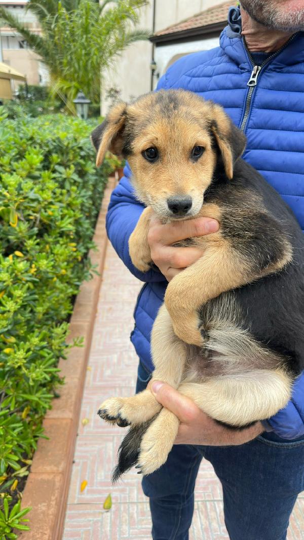 Pluto 🏩💞🐾 Foto 4