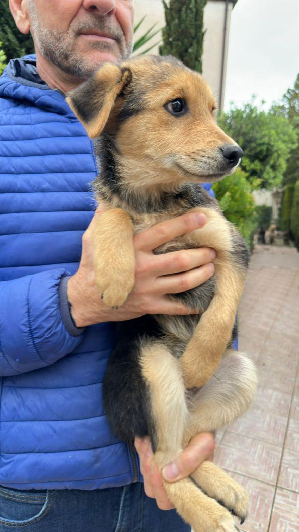 Pluto 🏩💞🐾 Foto 6