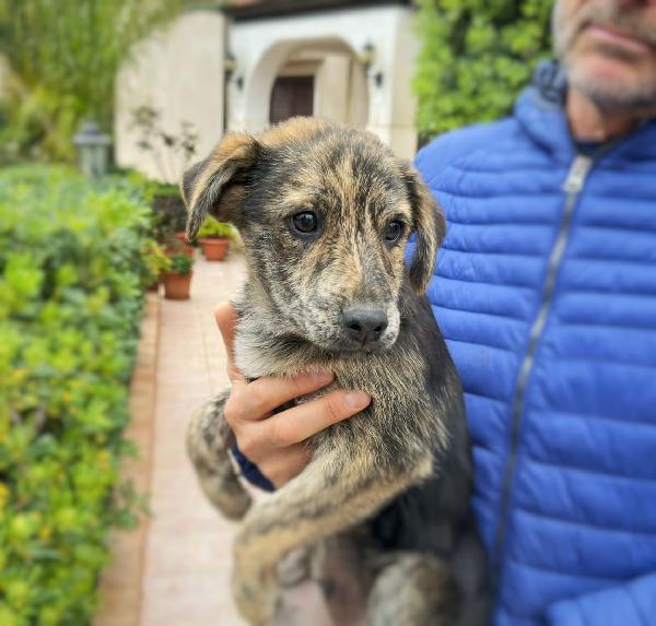 Pippo✨😘✨ Foto 4