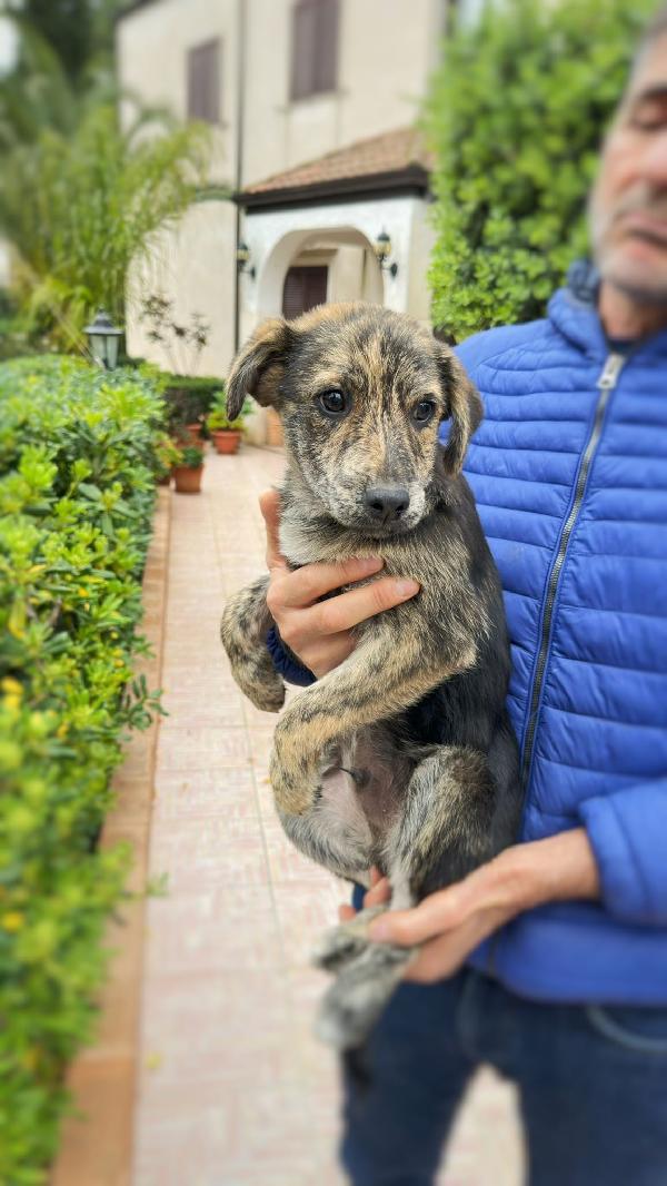 Pippo💙💞💙 Foto 2