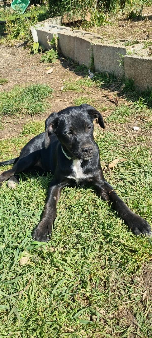 UNA MAMMA PER MORA Foto 2