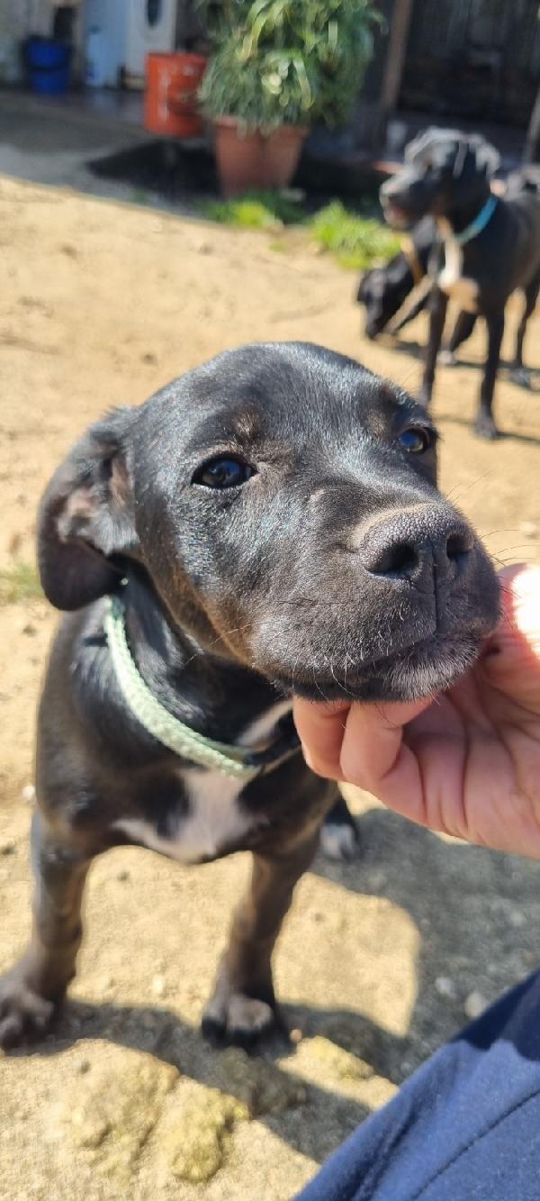 UNA MAMMA PER MORA Foto 3