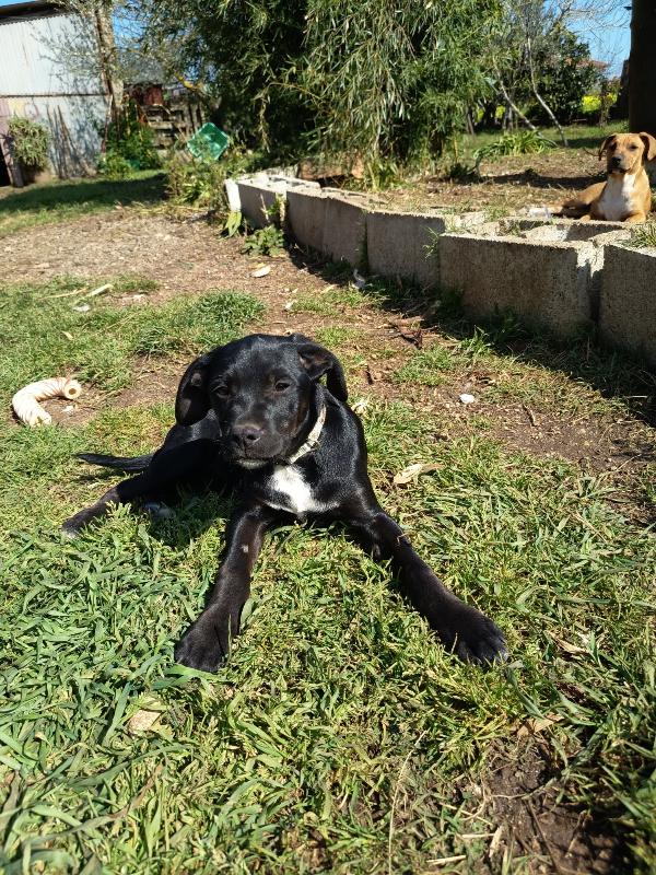 UNA MAMMA PER MORA Foto 4