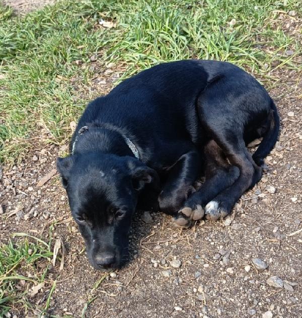 UNA MAMMA PER MORA Foto 5