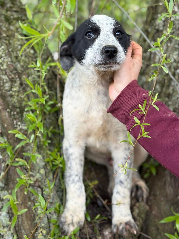 Zeno Aspetta Una Mamma 