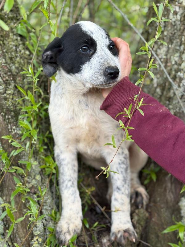 ZENO ASPETTA UNA MAMMA  Foto 2