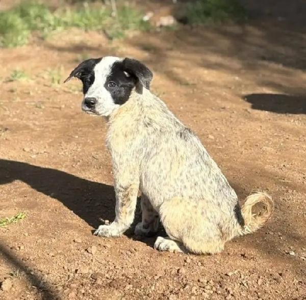 ZENO ASPETTA UNA MAMMA  Foto 3