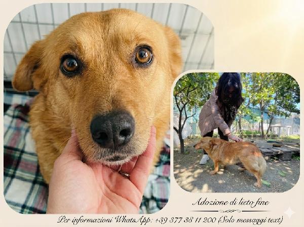 Moka cerca casa  Foto 2