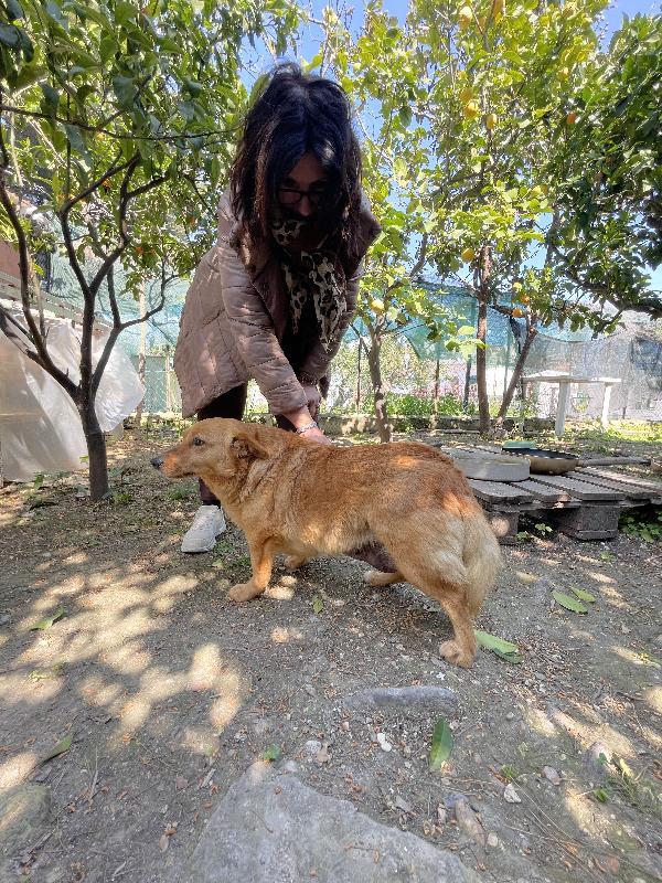 Moka cerca casa  Foto 5