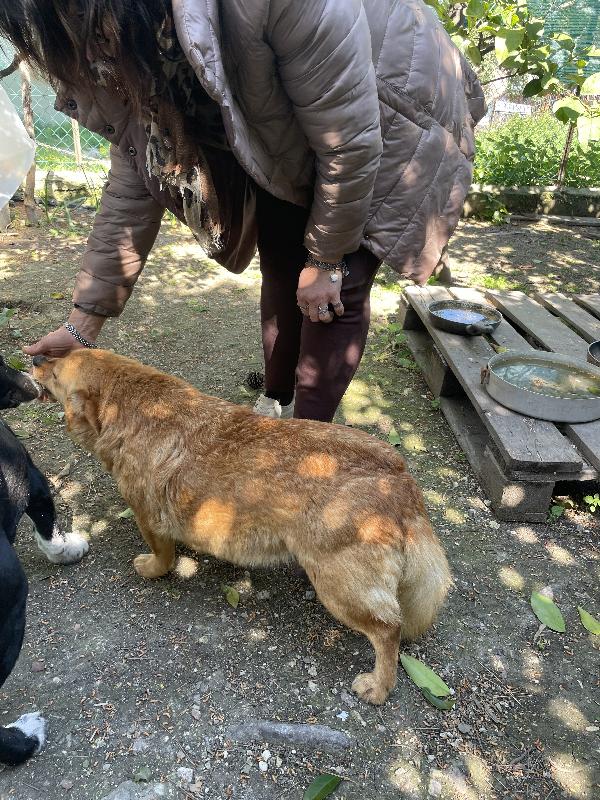 Moka cerca casa  Foto 6