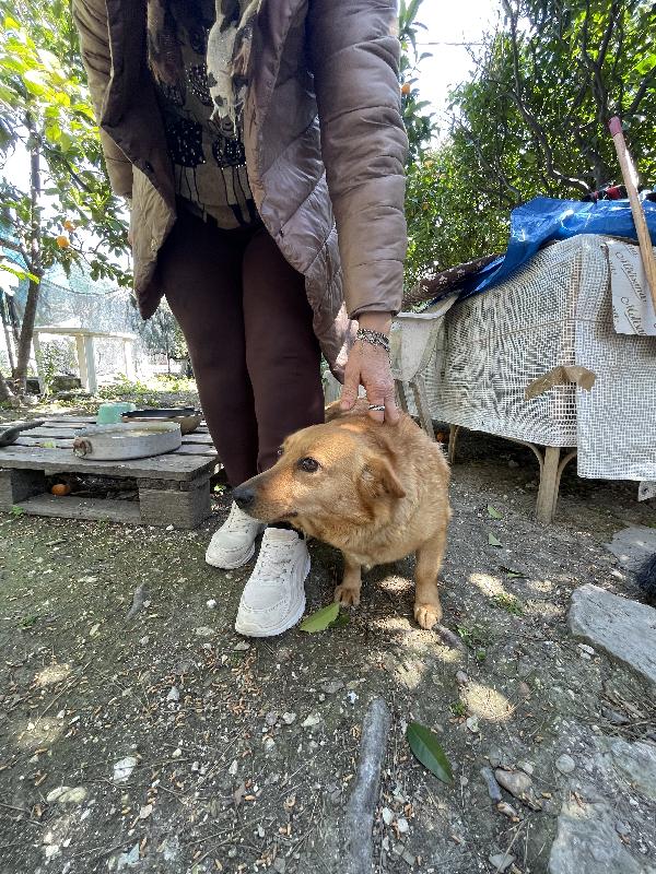 Moka cerca casa  Foto 7