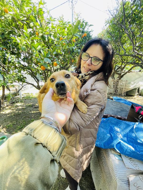 Moka cerca casa  Foto 8