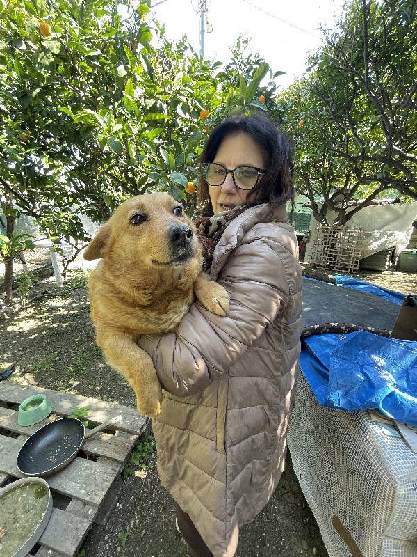 Moka cerca casa  Foto 9