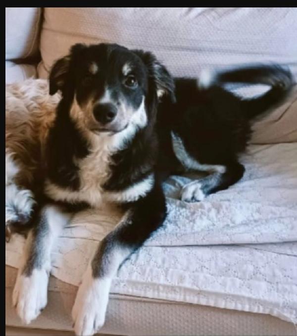 Kaos 10Mesi Nessuno Lo Ha Scelto! Puglia