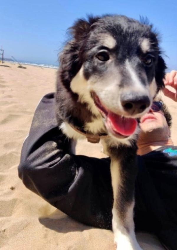 Kaos 10mesi NESSUNO LO HA SCELTO! PUGLIA Foto 5