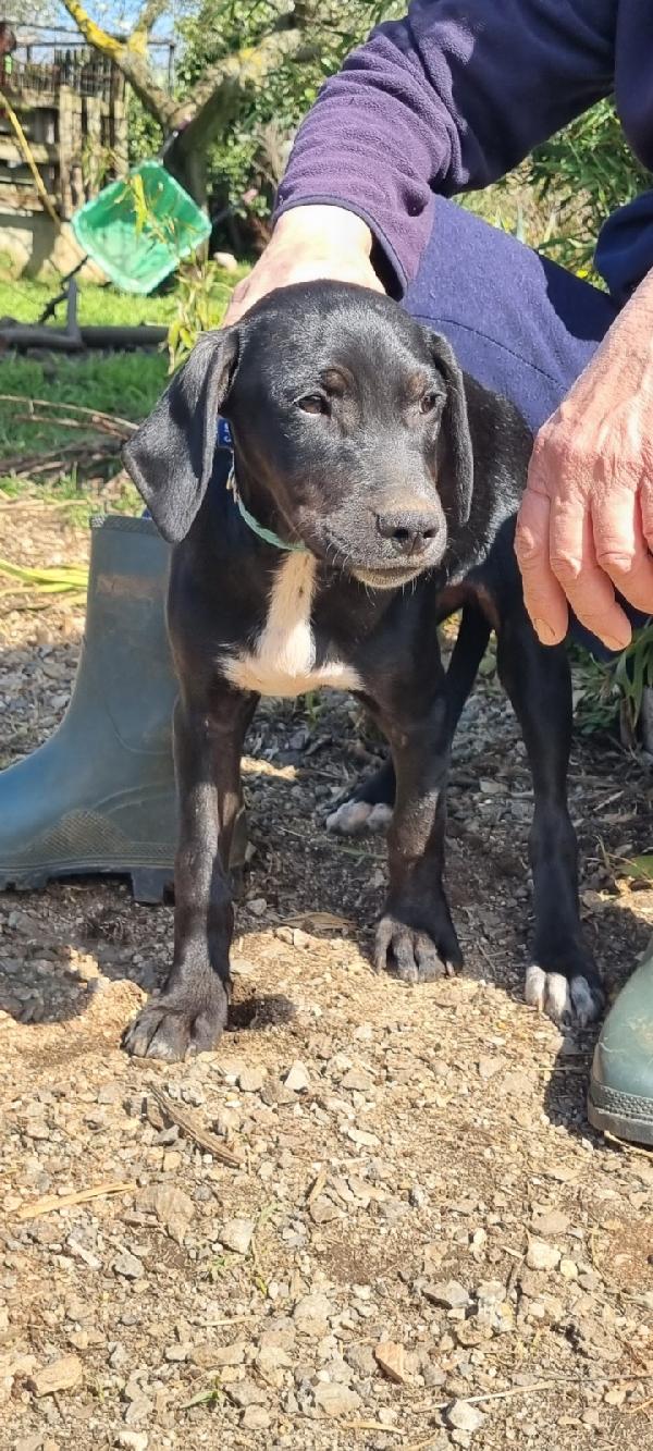 UNA MAMMA PER EVA Foto 2